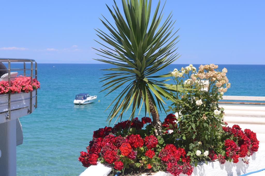 Olympos Beach Pláka Litókhoro Eksteriør bilde