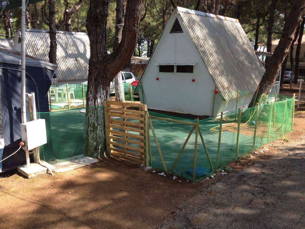 Olympos Beach Pláka Litókhoro Eksteriør bilde