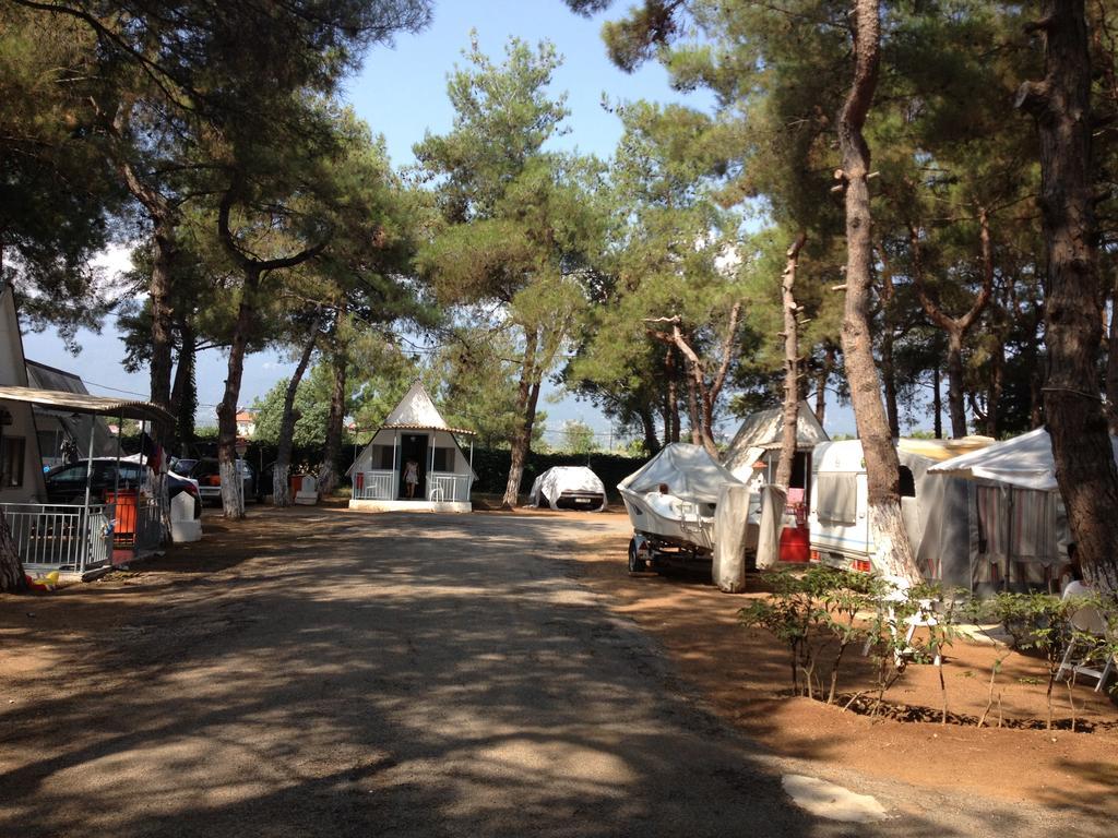 Olympos Beach Pláka Litókhoro Eksteriør bilde