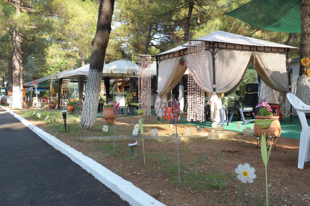 Olympos Beach Pláka Litókhoro Eksteriør bilde