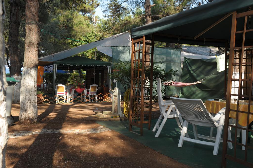 Olympos Beach Pláka Litókhoro Eksteriør bilde